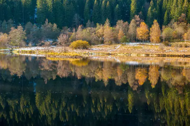 The lake Sankenbachsee in autumn near Baiersbronn in the Black Forest