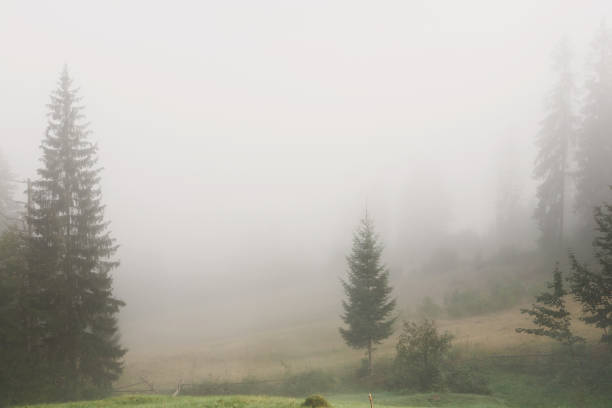 istock Foggy morning landscape background 813736546