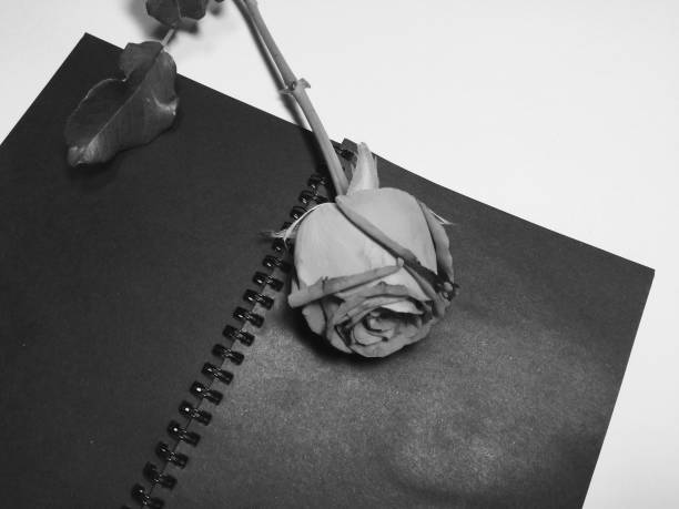 in black and white design,abstract art style