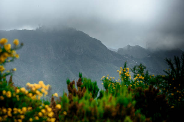 istock Mountains meadow in sunny day 813739534