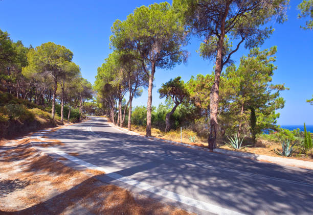 istock Road in moutain, Rhodes, Greece . 813765358
