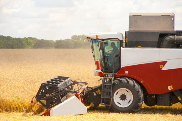 istock combine harvester working on a wheat field. 813765522