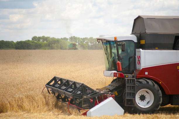 istock combine harvester working on a wheat field. 813765892