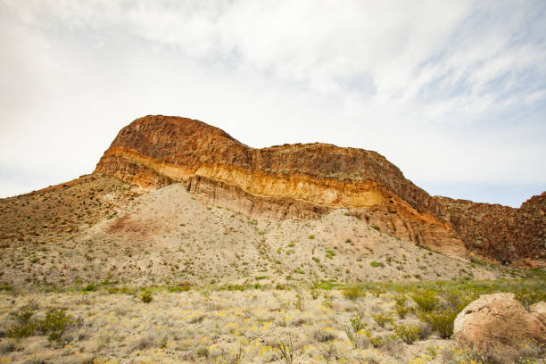 istock Big Bend National Park Texas 813775130