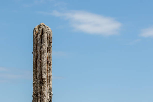 Age and decay. Rotten wood fence post. Decayed eroded and rotting wooden construction isolated against blue sky with copy space. Symbol of old age and decomposition.