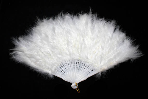 istock Vintage White Hand Feather Fan on Black Background 813785414