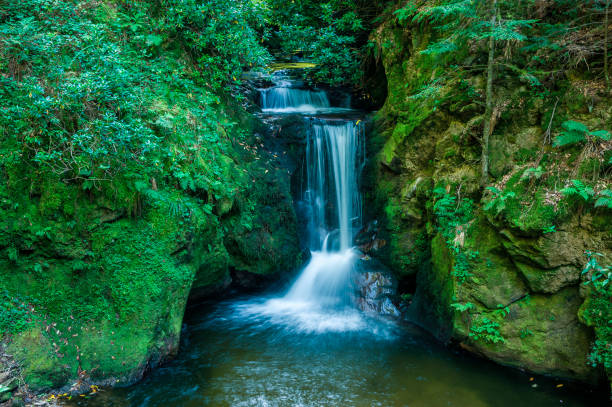 istock The Geroldsauer waterfall near Geroldsau in the Black Forest 813786938