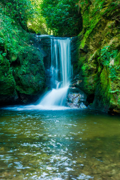 istock The Geroldsauer waterfall near Geroldsau in the Black Forest 813787020