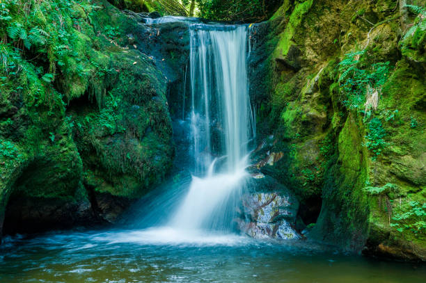 istock The Geroldsauer waterfall near Geroldsau in the Black Forest 813787102