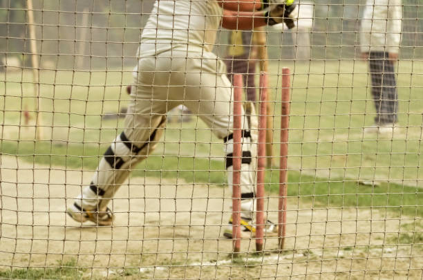 práctica de net - sport of cricket practicing cricket player net fotografías e imágenes de stock