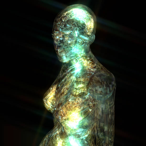 istock 3D Illustration of a human Anatomy 813813010