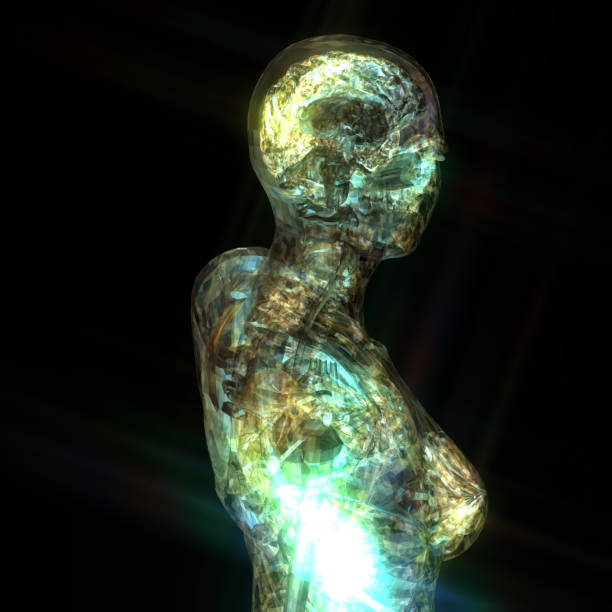 istock 3D Illustration of a human Anatomy 813813034