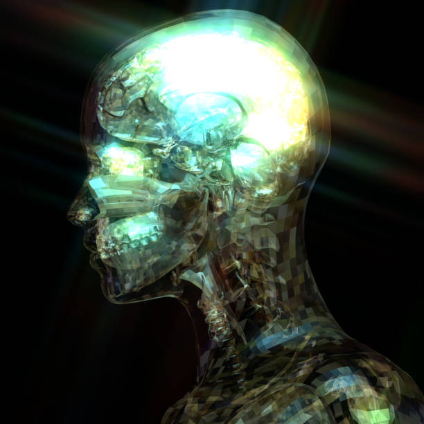istock 3D Illustration of a human Anatomy 813813054