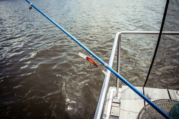 istock Fishing – Houseboat 813817740