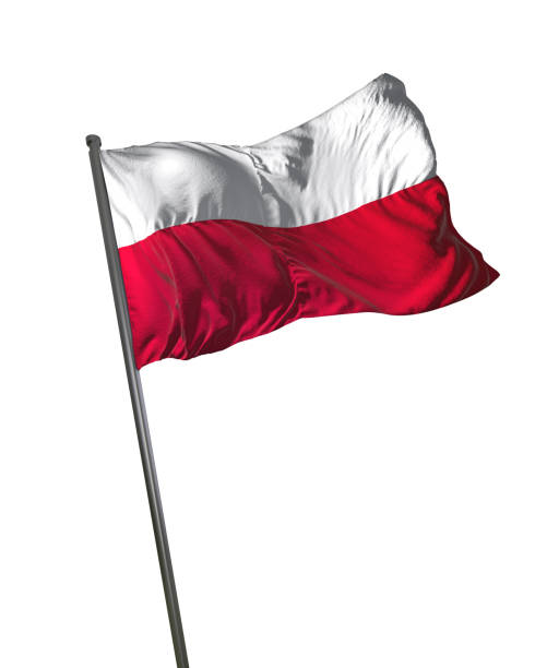istock Poland Flag Waving Isolated on White Background Portrait 813817822