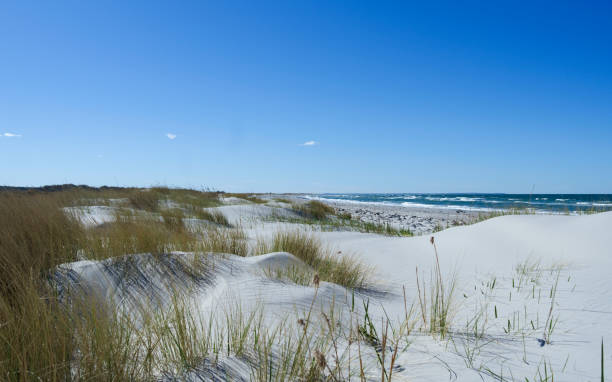 istock Denmark: View from the dunes to the Kattegat Sea 813818948