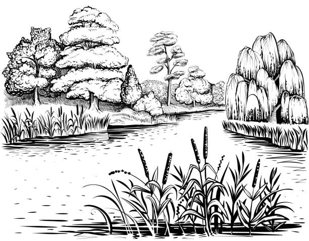 River vector landscape with trees and water plants, hand drawn illustration. River landscape with trees and water plants, vector illustration. Riverside with forest, reed and cattail. Freehand drawing. riverbank stock illustrations