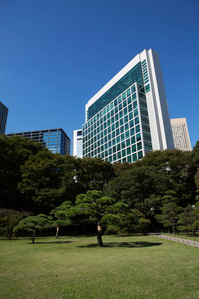 istock Great view of buildings at Tokyo 813823720