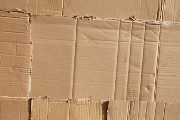 istock Waste paper, cartons 813830830