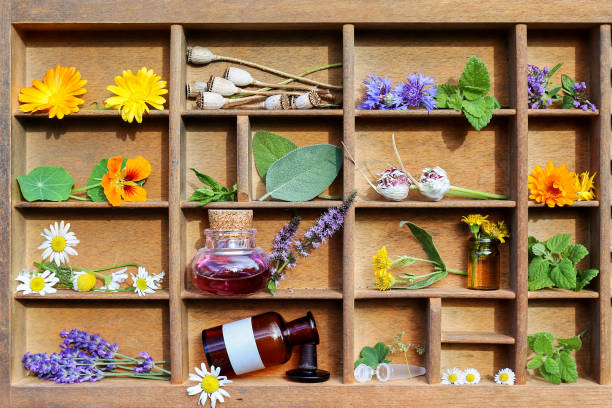 Notepad, Stone mortar, pestle, Bags and glass jars with assorted Dried Herbs.