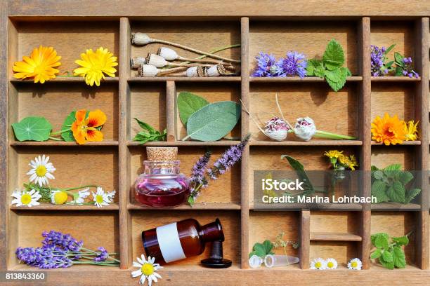 Alternative Medicine With Medical Plants Stock Photo - Download Image Now - Alternative Medicine, Lemon Balm, Poppy - Plant