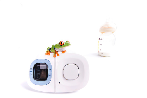 Red Eyed Tree Frog on baby monitor