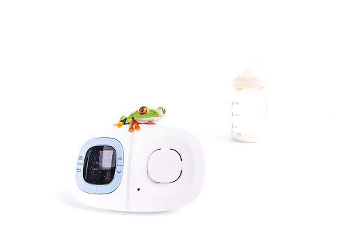 Red Eyed Tree Frog on baby monitor