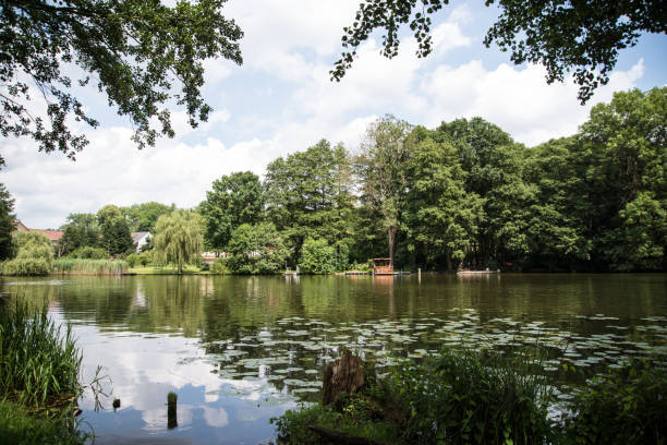 istock Lake in the summer forest with reflection 813847406