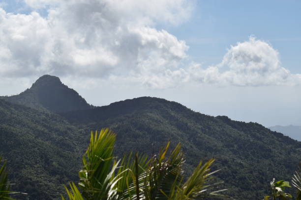 istock A Puerto Rico Mountain 813855020