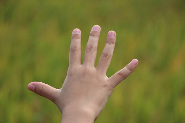 Palm of Hand