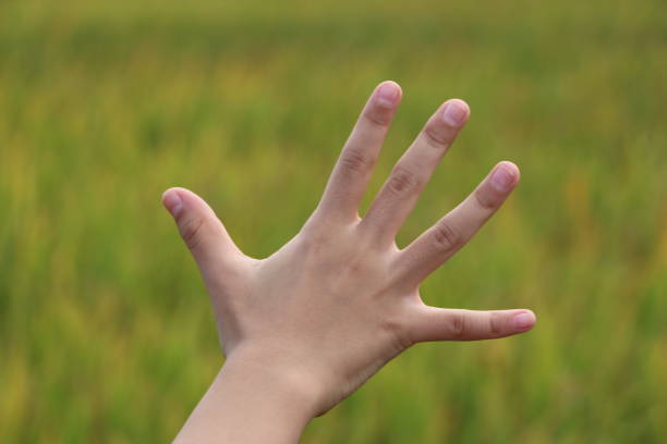 istock Palm of Hand 813862588