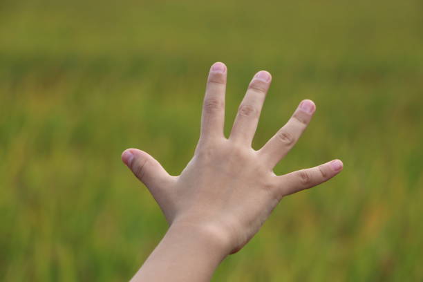 istock Palm of Hand 813862600