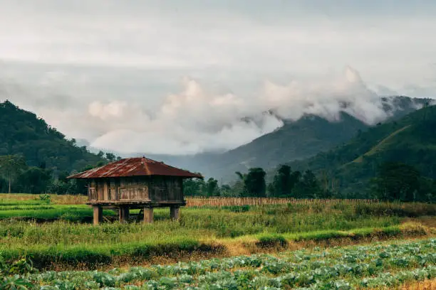 Photo of Timber house in the local farm