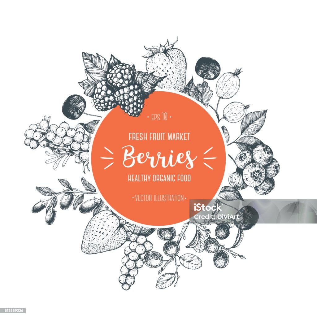Berries hand drawn vector illustration. Hand drawn sketch illustration with with cherry, raspberry, cranberry, barberry, strawberry, goji berries. Healthy food, circle design template with berries. Berry stock vector
