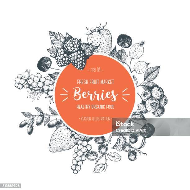 Berries Hand Drawn Vector Illustration Hand Drawn Sketch Illustration With With Cherry Raspberry Cranberry Barberry Strawberry Goji Berries Healthy Food Circle Design Template With Berries Stock Illustration - Download Image Now