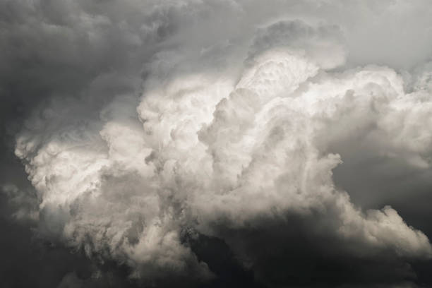 White billowing Cumulus clouds into dark gray Cumulonimbus storm clouds as a thunder storm rolls into the area during mid Summer.