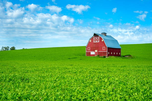 istock Red Barn on the Palouse 813915906
