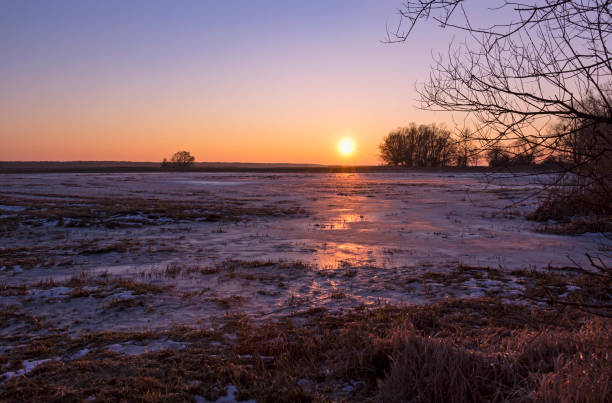 puesta de sol en la noche de invierno - frozen cold lake reed fotografías e imágenes de stock