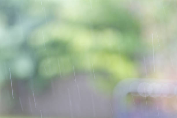 istock Abstract view of garden in rain 813919834