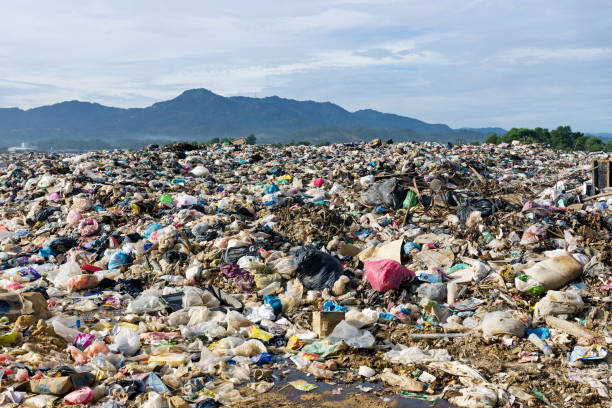 montón de basura doméstica en vertedero de descarga - recycling paper garbage landfill fotografías e imágenes de stock