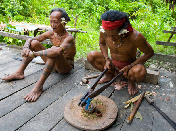 Man Mentawai tribe prepares poison for the arrows for hunting. Mentawai people, West Sumatra, Siberut island, Indonesia – 16 November 2010: Man Mentawai tribe prepares poison for the arrows for hunting. 16 November, 2010. West Sumatra, Siberut island, Indonesia. Mentawai Islands stock pictures, royalty-free photos & images