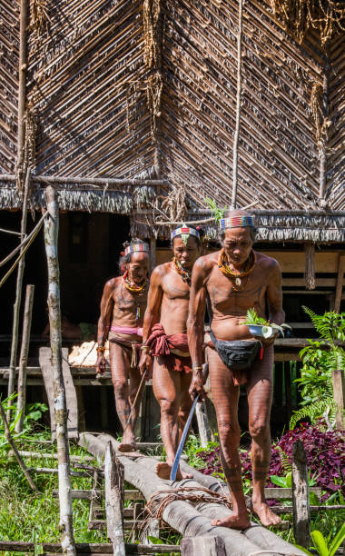 Men of the Mentawai tribe go hunting. stock photo