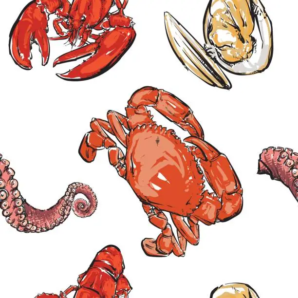 Vector illustration of Seafood pattern drawing. Hand drawn vector. Clam with clipping path. Tentacles of octopus isolated set collection.