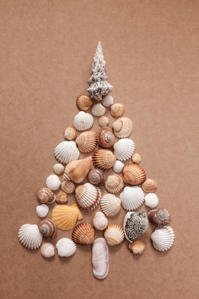 istock christmas tree of sea shells. 813935562