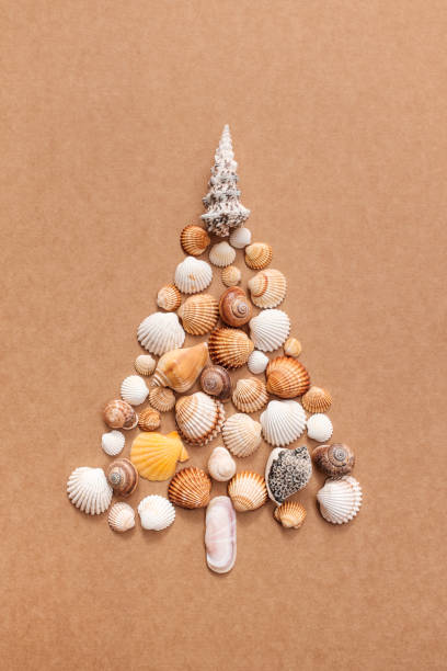 istock christmas tree of sea shells. 813935622
