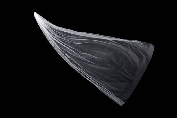 istock wedding white Bridal veil isolated on black background 813935630