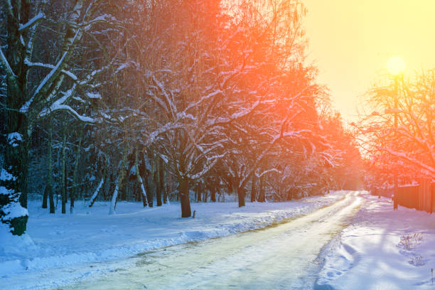 istock Snow-covered road in the winter forest at sunset light 813935650