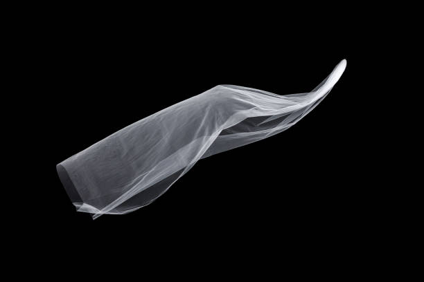 istock wedding white Bridal veil isolated on black background 813935720