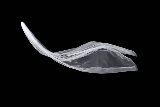 istock wedding white Bridal veil isolated on black background. veil flutters in the wind 813935780