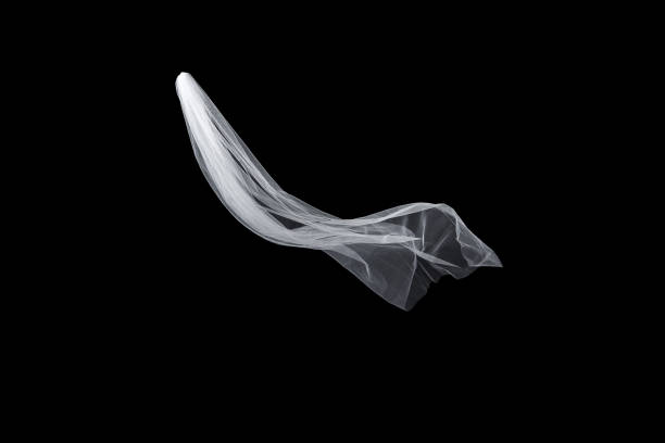 istock wedding white Bridal veil isolated on black background 813939984
